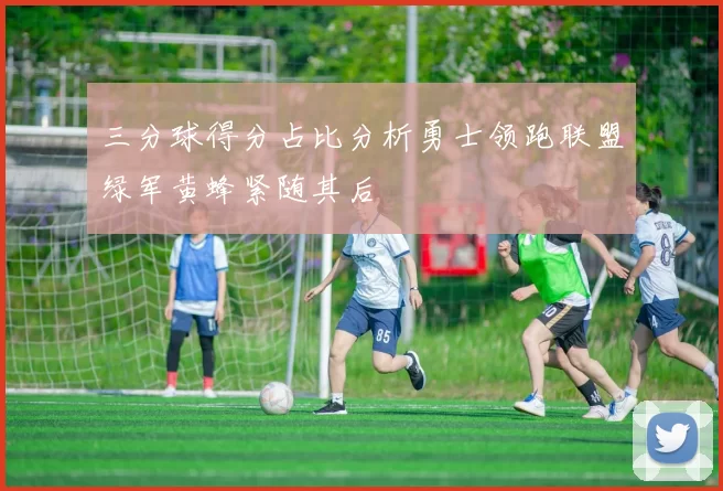 三分球得分占比分析勇士领跑联盟绿军黄蜂紧随其后